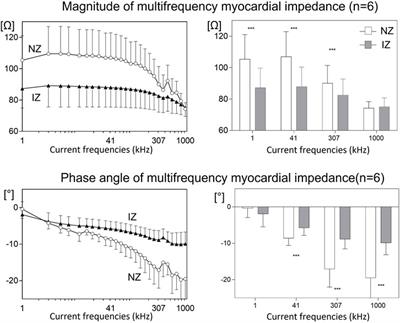 Electrophysiological and histological characterization of atrial scarring in a model of isolated atrial myocardial infarction
